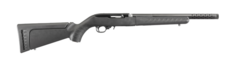 Ruger 10/22 Take Down Lite 