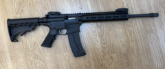 Smith & Wesson MP15-22